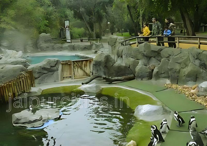 Jaipur Zoo - Best Zoological Park